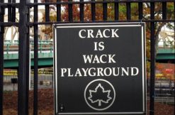 crack-is-wack-playground-via-team-bloodpactscouts-and-youtube