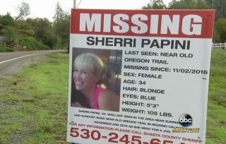 Sherri Papini missing via ABC screengrab