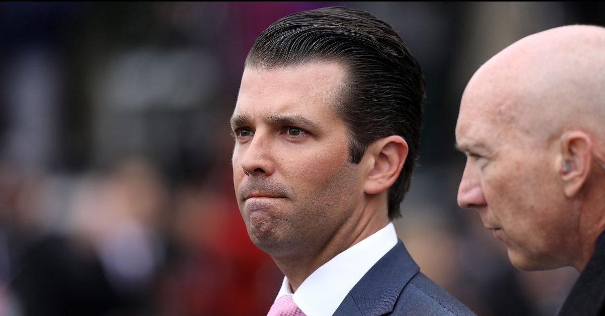 Donald Trump Jr. Mueller Psy