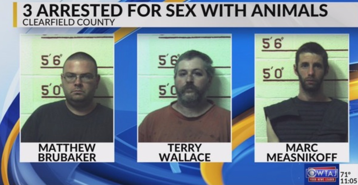 Three Pa Men Get Decades in Prison for Horse Sex Law Crime 