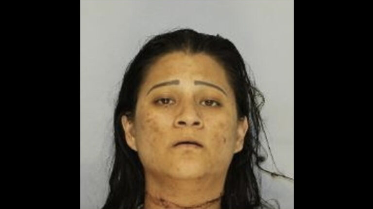 Berenice Jaramillo-Hernandez appears in a mugshot