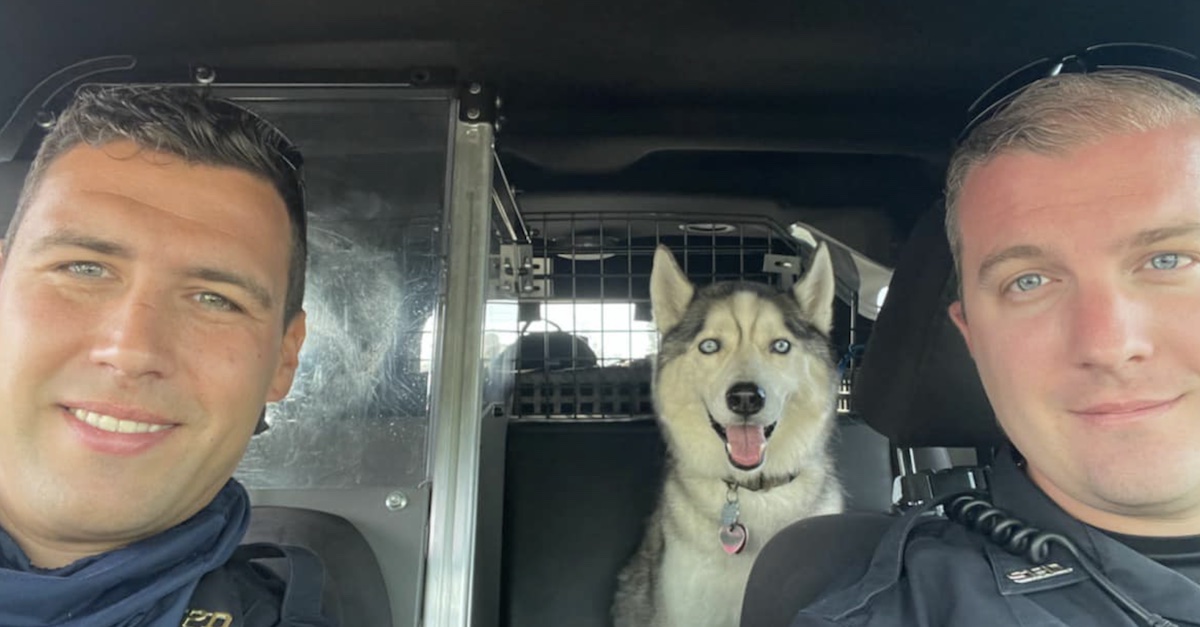 Officers Adamson and Bashioum with Zeke the husky