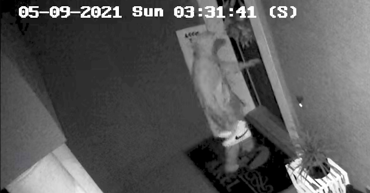 A still frame from a surveillance camera shows who prosecutors and law enforcement authorities believe to be alleged murderer Aiden Fucci approaching the front door of his home while carrying his shoes.