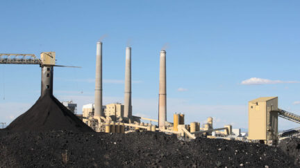 A file photo shows large coal piles in front of coal-fired power plant on June 19, 2019 in Castle Dale, Utah. (Photo by George Frey/Getty Images.)