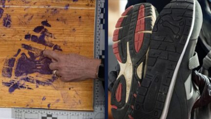 Walmart shoes and shoe-prints from Pike County Massacre evidence.
