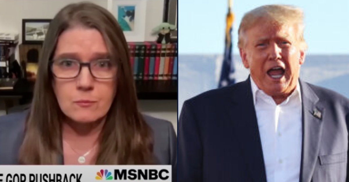 Left: Mary Trump, wearing a gray suit jacket and a necklace with a medallion, appears on MSNBC. She has long brown hair and is wearing glasses and a gray suit jacket. Right: Donald Trump, wearing a dark jacket and white collared shirt and standing outside in front of an American flag, appears to be speaking or yelling. His mouth is open and it looks like he is mid-sentence.