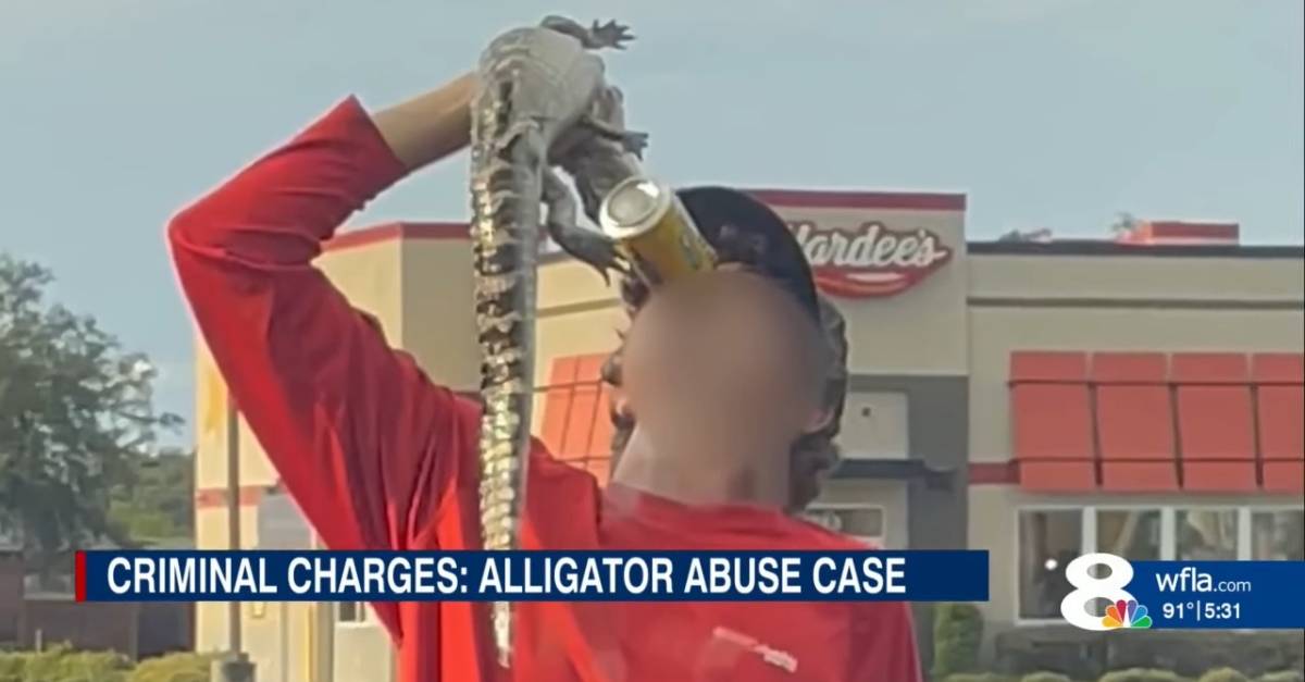 A teenager faces animal abuse charges after a video shows him chugging a beer with a baby alligator (Screenshot from NBC Tampa, Florida, affiliate WFLA)