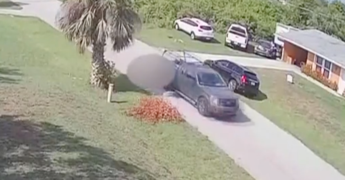 Florida Driver Caught On Video Dragging Dog From Truck