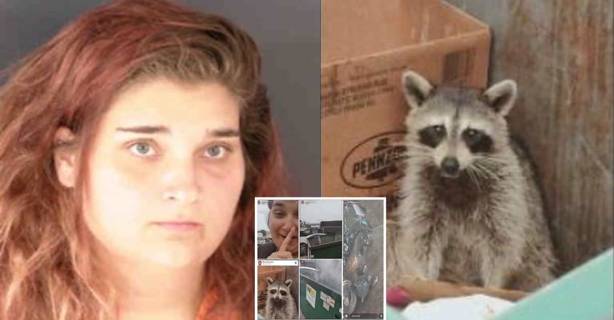 ‘we Just Toasted His A Whos Hungry Woman Convicted Of Filming Herself Burning Raccoon Alive 4615