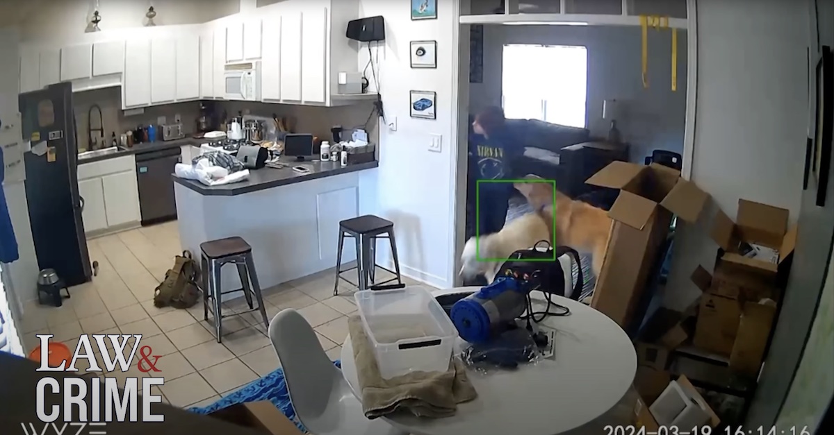 Kitchen video shows what Carly Gregg did after shooting