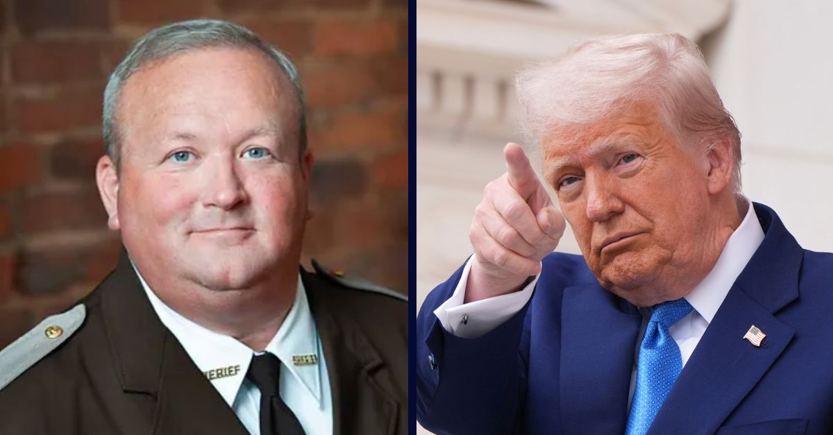 Scott Jenkins / Donald Trump