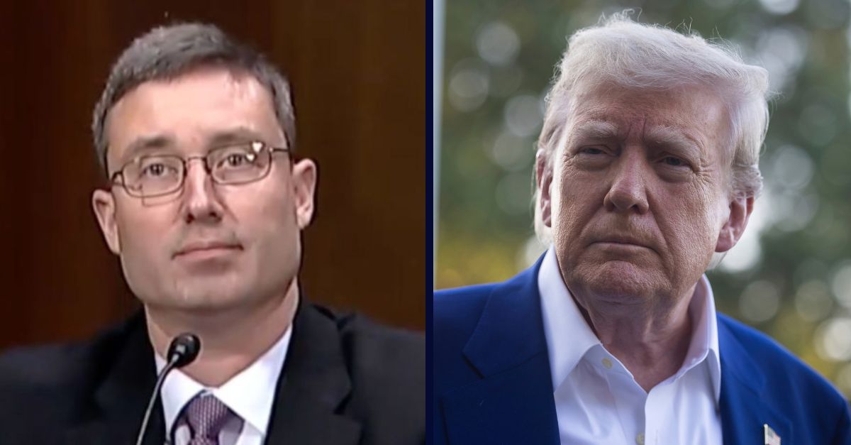 Brian Murphy / Donald Trump