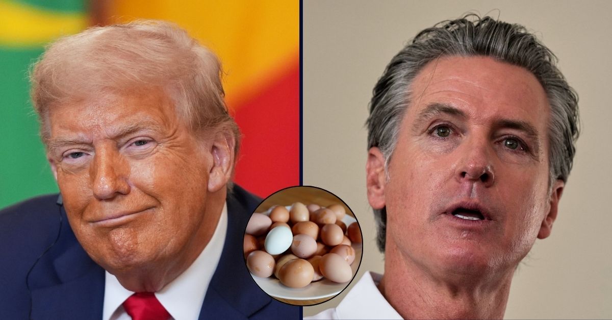 Donald Trump / Gavin Newsom / Eggs